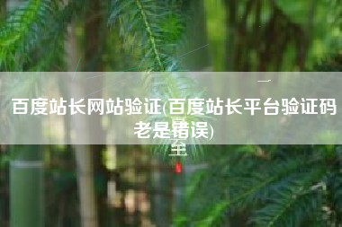 百度站长网站验证(百度站长平台验证码老是错误)