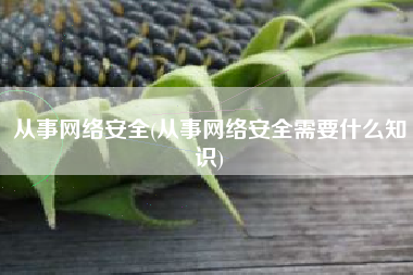 从事网络安全(从事网络安全需要什么知识)