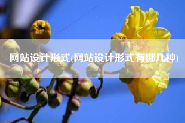 网站设计形式(网站设计形式有哪几种)