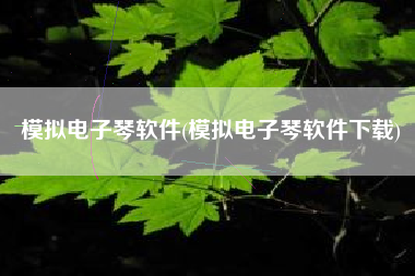 模拟电子琴软件(模拟电子琴软件下载)