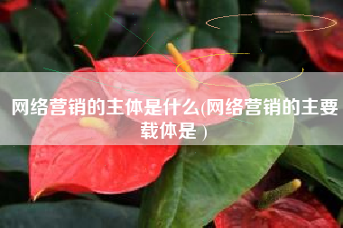 网络营销的主体是什么(网络营销的主要载体是 )