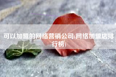 可以加盟的网络营销公司(网络加盟店排行榜)