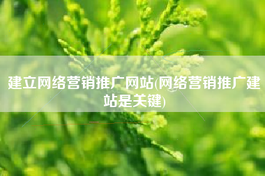 建立网络营销推广网站(网络营销推广建站是关键)