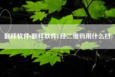 翻样软件(翻样软件E经二维码用什么扫)
