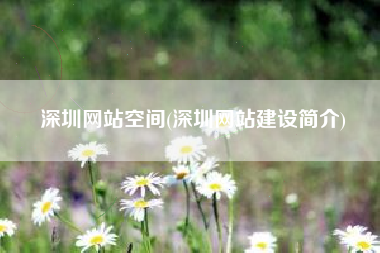 深圳网站空间(深圳网站建设简介)