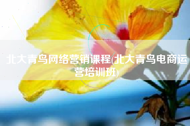 北大青鸟网络营销课程(北大青鸟电商运营培训班)