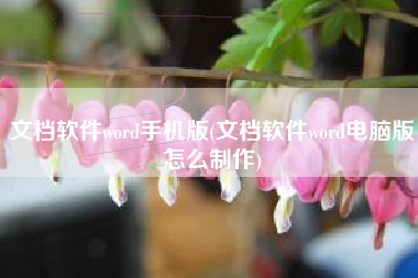 文档软件word手机版(文档软件word电脑版怎么制作)