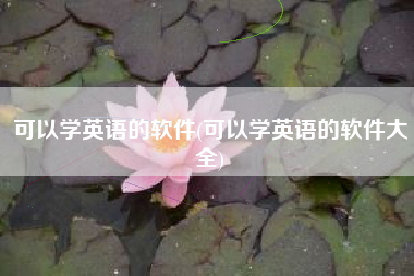 可以学英语的软件(可以学英语的软件大全)