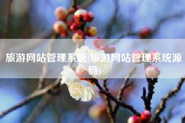 旅游网站管理系统(旅游网站管理系统源码)