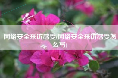 网络安全采访感受(网络安全采访感受怎么写)