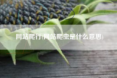 网站爬行(网站爬虫是什么意思)
