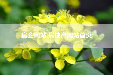 房企网站(房地产网站首页)