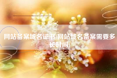 网站备案域名证书(网站域名备案需要多长时间)