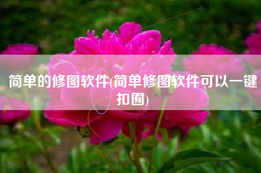 简单的修图软件(简单修图软件可以一键扣囿)