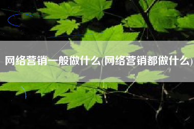 网络营销一般做什么(网络营销都做什么)