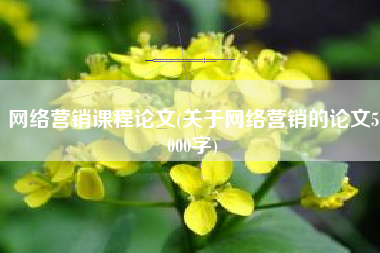 网络营销课程论文(关于网络营销的论文5000字)