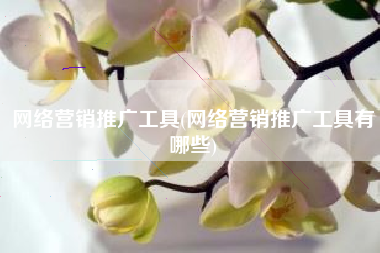 网络营销推广工具(网络营销推广工具有哪些)