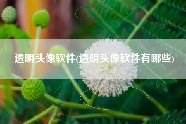 透明头像软件(透明头像软件有哪些)