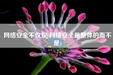 网络安全不仅仅(网络安全是整体的而不是)