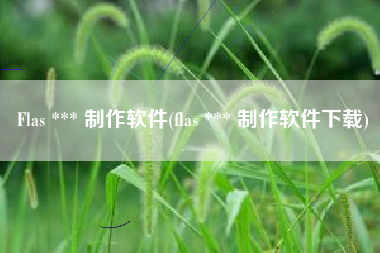 Flas *** 制作软件(flas *** 制作软件下载)