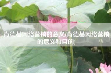 肯德基网络营销的意义(肯德基网络营销的意义和目的)