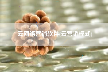 云网络营销软件(云营销模式)