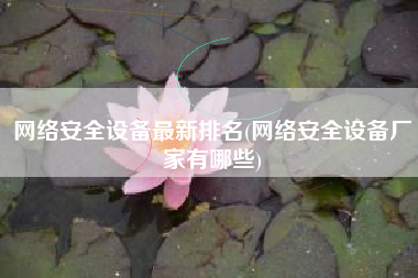 网络安全设备最新排名(网络安全设备厂家有哪些)