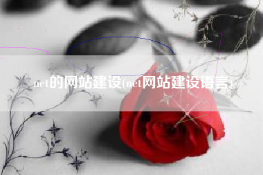 net的网站建设(net网站建设语言)