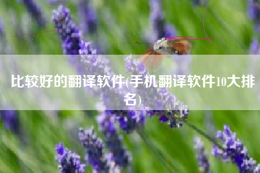 比较好的翻译软件(手机翻译软件10大排名)