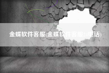 金蝶软件客服(金蝶软件客服24电话)