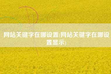 网站关键字在哪设置(网站关键字在哪设置显示)