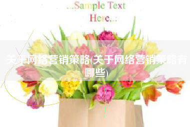 关于网络营销策略(关于网络营销策略有哪些)