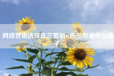 网络营销选择佐兰营销6(佐兰熙是什么牌子)