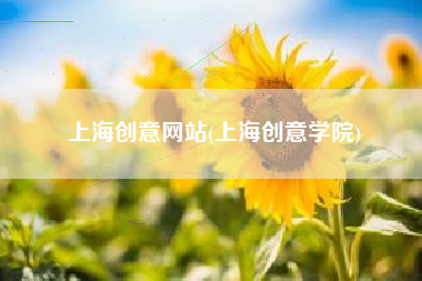 上海创意网站(上海创意学院)