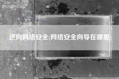 逆向网络安全(网络安全向导在哪里)
