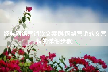 经典网络营销软文案例(网络营销软文营销的详细步骤)