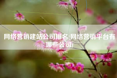 网络营销建站公司排名(网络营销平台有哪些公司)