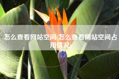 怎么查看网站空间(怎么查看网站空间占用情况)