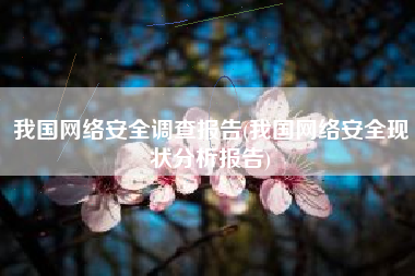 我国网络安全调查报告(我国网络安全现状分析报告)
