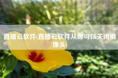 直播云软件(直播云软件从哪可以关闭摄像头)