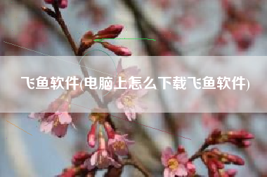飞鱼软件(电脑上怎么下载飞鱼软件)