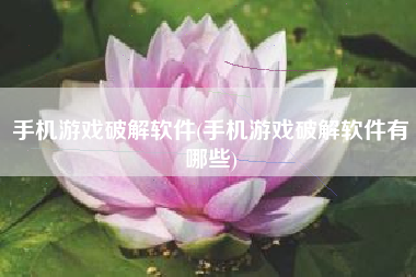 手机游戏破解软件(手机游戏破解软件有哪些)