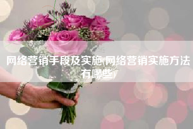 网络营销手段及实施(网络营销实施方法有哪些)
