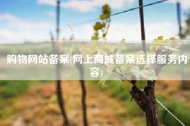 购物网站备案(网上商城备案选择服务内容)