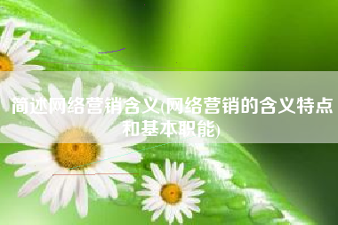 简述网络营销含义(网络营销的含义特点和基本职能)
