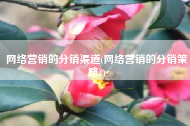 网络营销的分销渠道(网络营销的分销策略?)