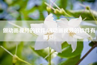 做动画视频的软件(做动画视频的软件有哪些)