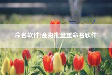 命名软件(金舟批量重命名软件)