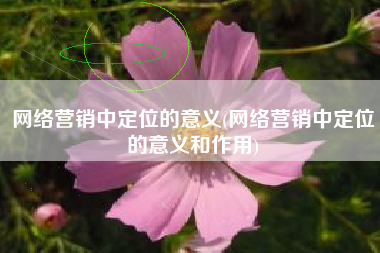 网络营销中定位的意义(网络营销中定位的意义和作用)
