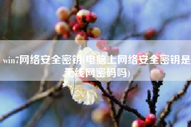win7网络安全密钥(电脑上网络安全密钥是无线网密码吗)